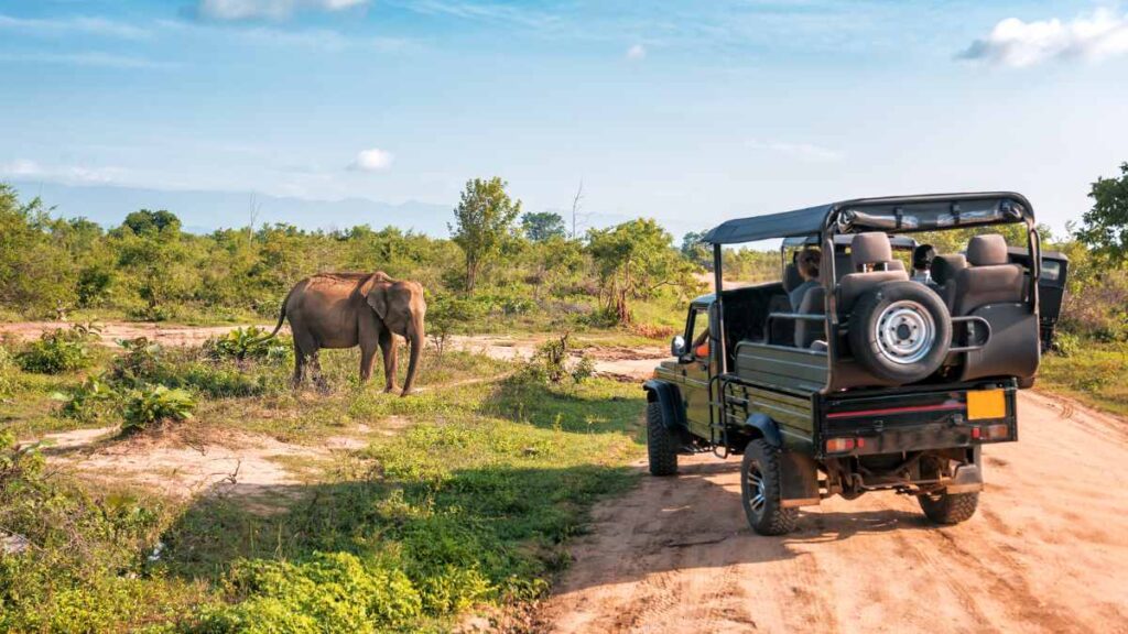 Cauvery Wildlife Sanctuary